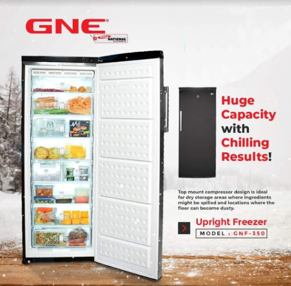 GNE Upright Freezer Model : GNF - 300 DC